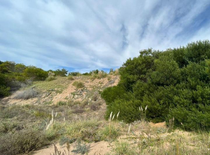 Terreno · 925m²