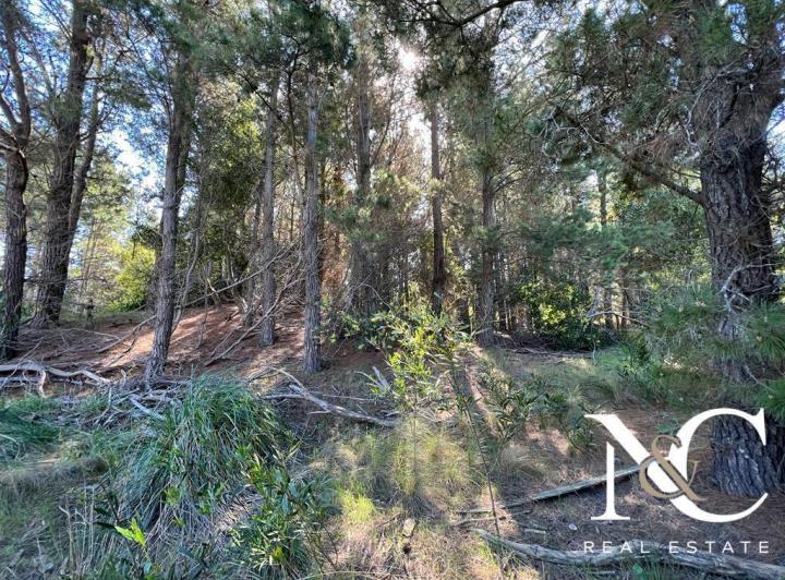 Terreno · 1041m²