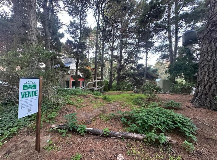 Terreno · 325m²