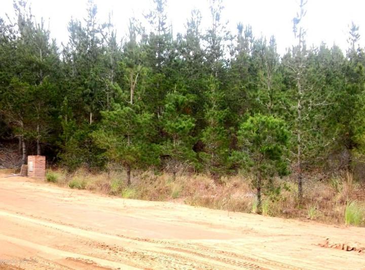 Terreno · 1000m²