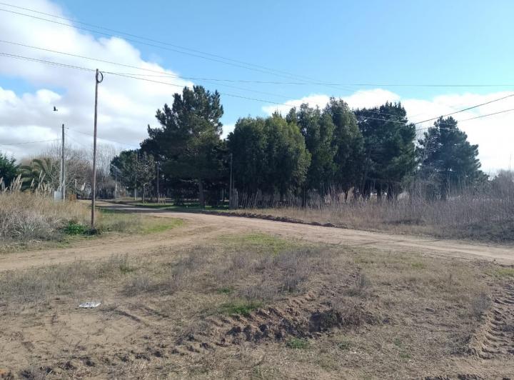 Terreno · 1335m²