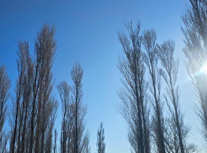 Terreno · 2500m²