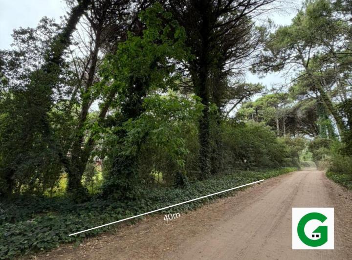 Terreno · 1197m²