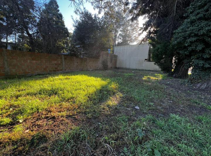Terreno · 320m²