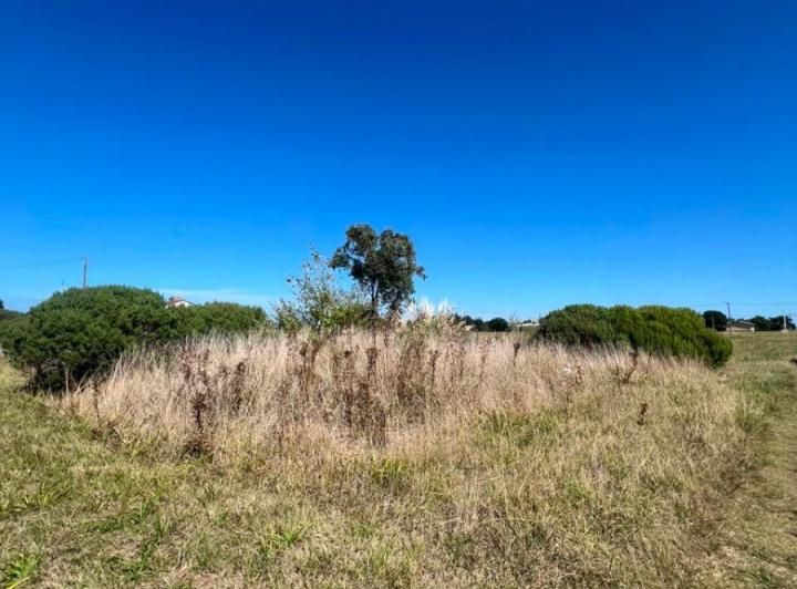 Terreno · 445m²