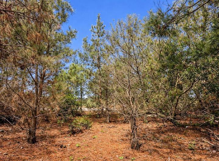 Terreno · 900m²