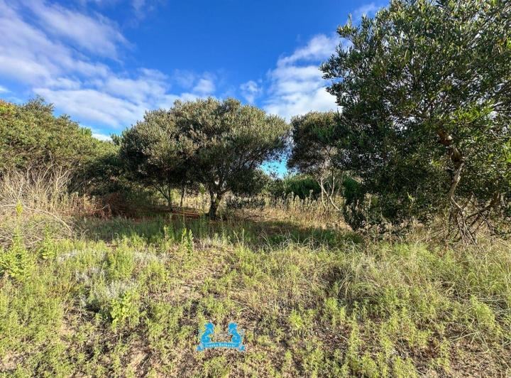 Terreno · 1047m²