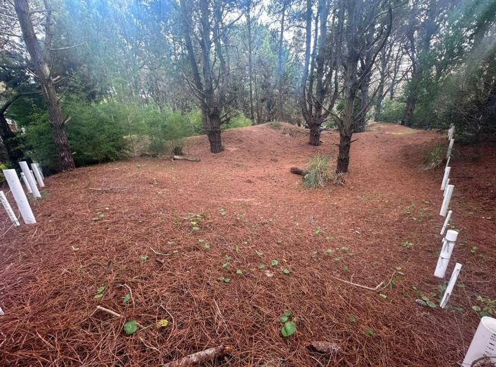 Terreno · 394m²
