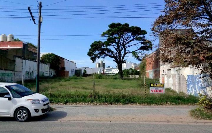 Terreno · 1600m²