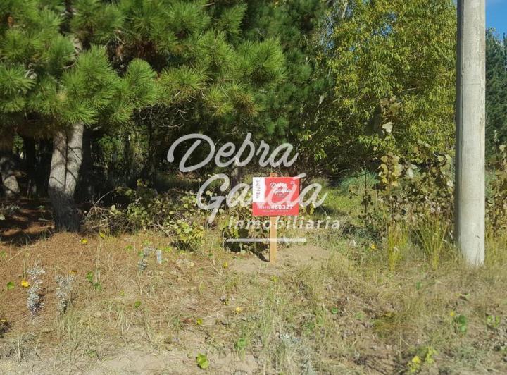 Terreno · 995m²