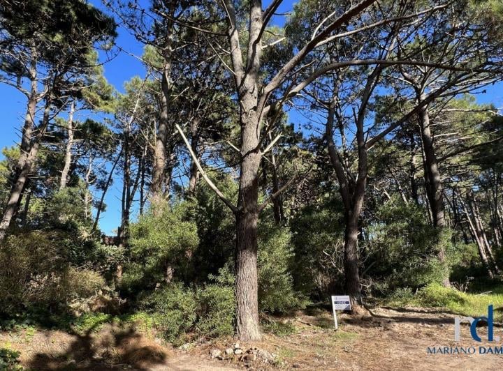 Terreno · 600m²