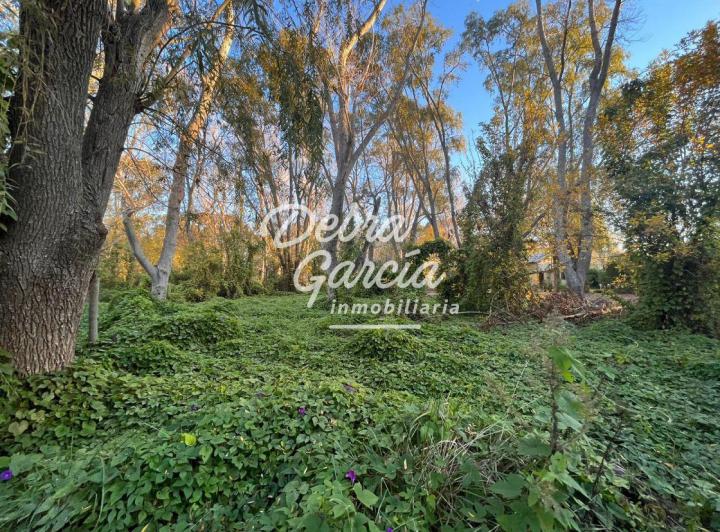 Terreno · 555m²