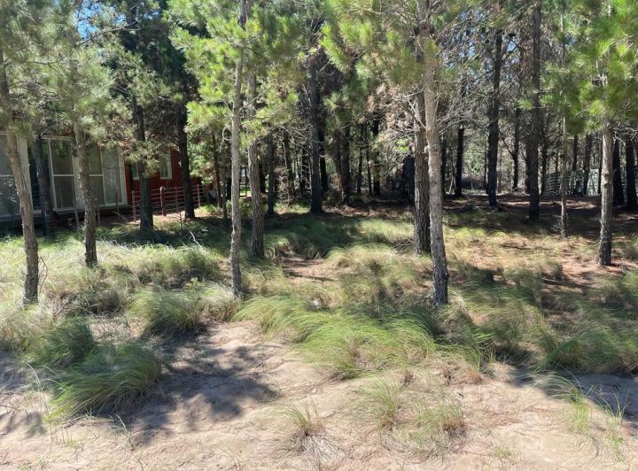 Terreno · 1000m²