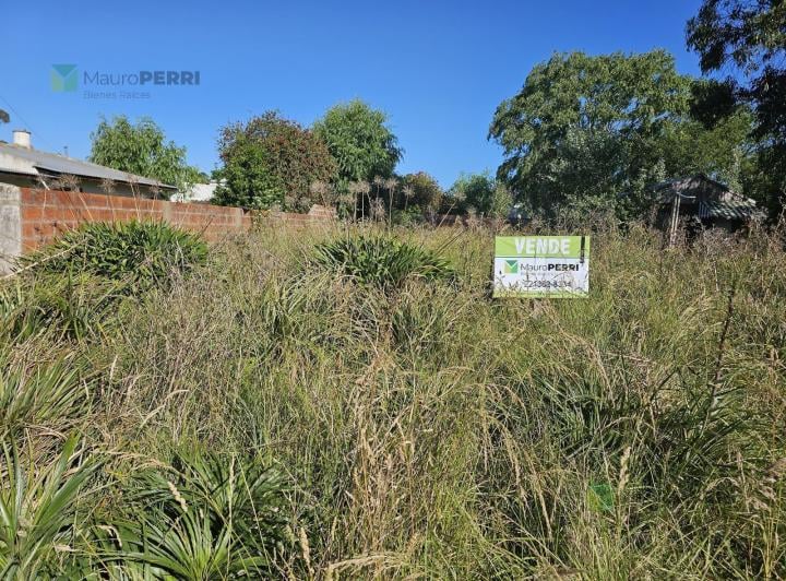 Terreno · 220m²