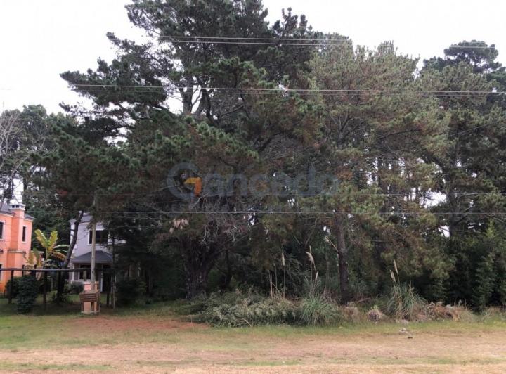 Terreno · 663m²