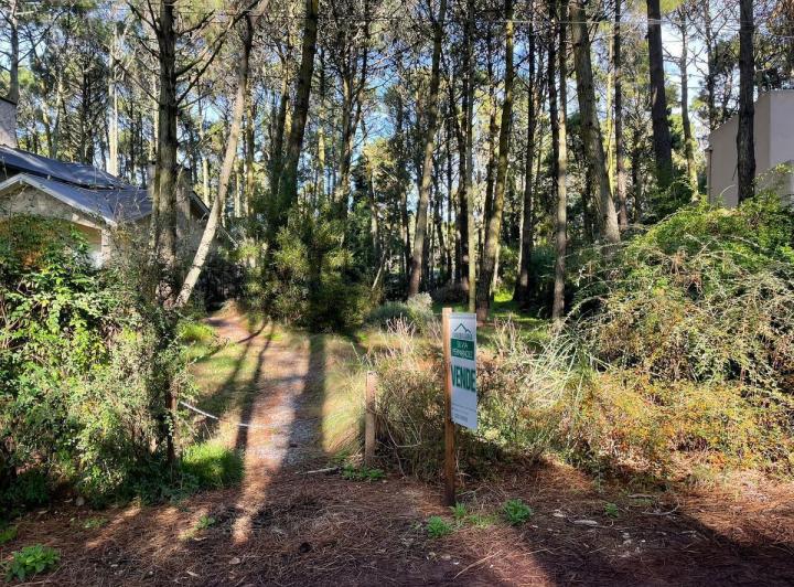 Terreno · 675m²