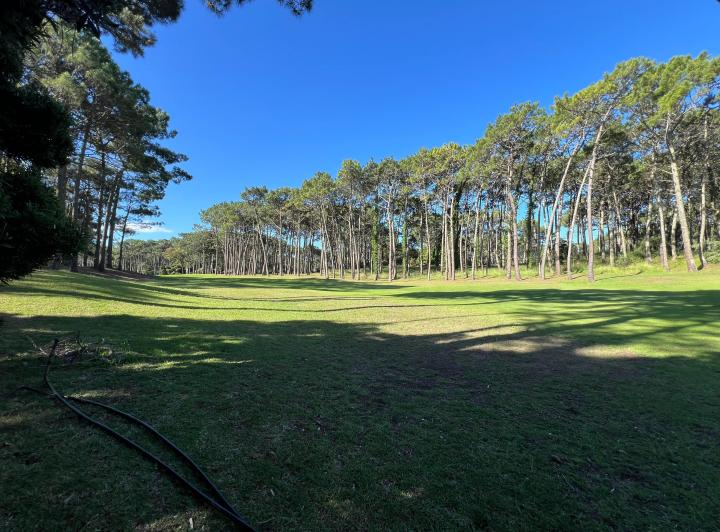 Terreno · 620m²