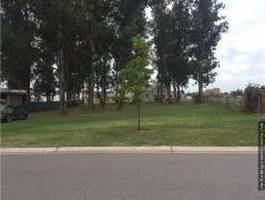 Terreno · 928m²