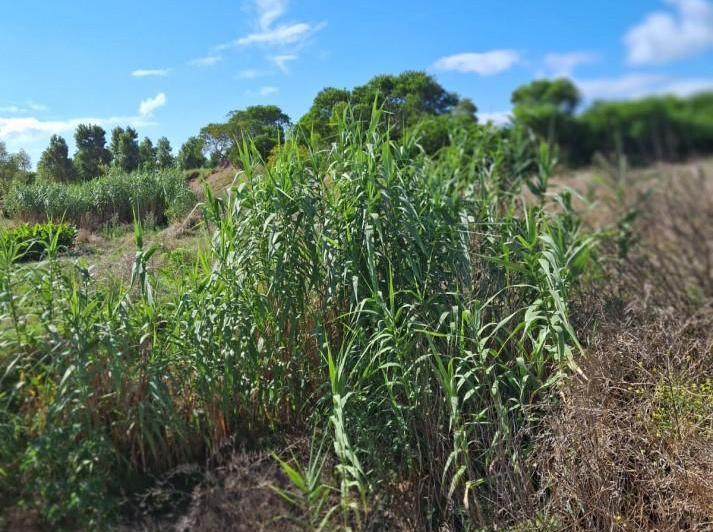 Terreno · 600m²