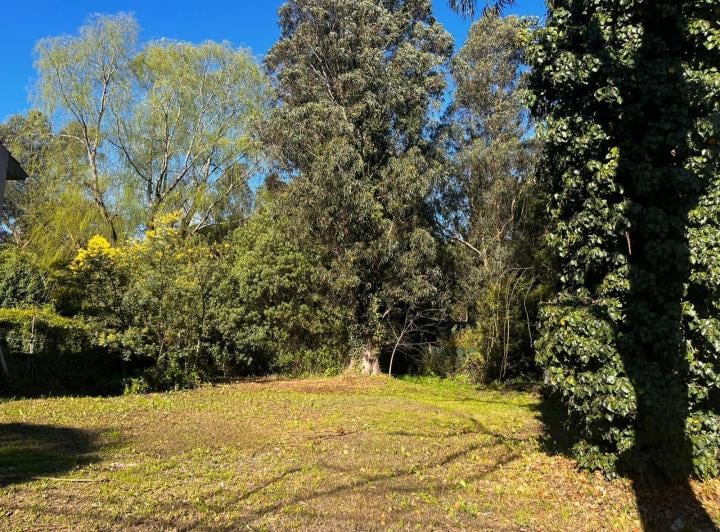 Terreno · 450m²