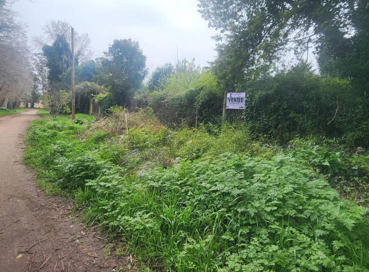 Terreno · 1040m²