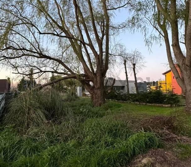 Terreno · 555m²