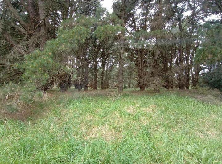 Terreno · 375m²