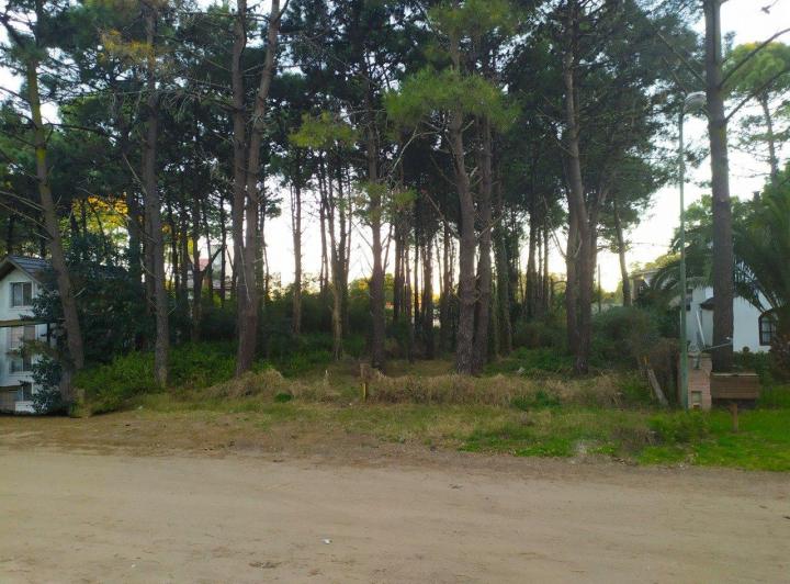 Terreno · 620m²