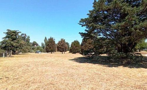 Terreno · 1200m²