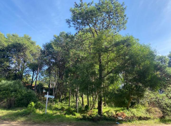 Terreno · 683m²
