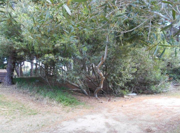 Terreno · 1116m²