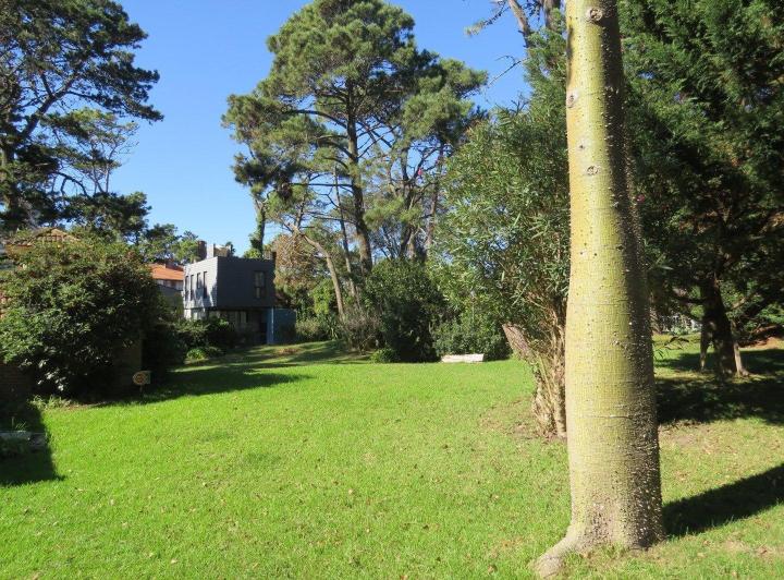 Terreno · 914m²