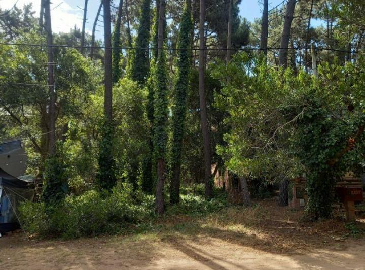 Terreno · 363m²