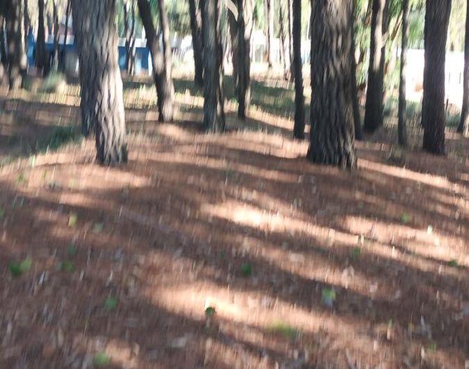 Terreno · 1000m²