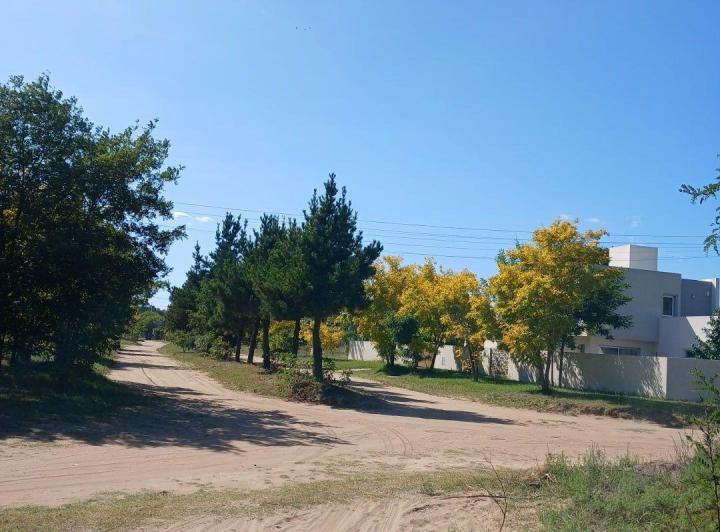 Terreno · 1000m²