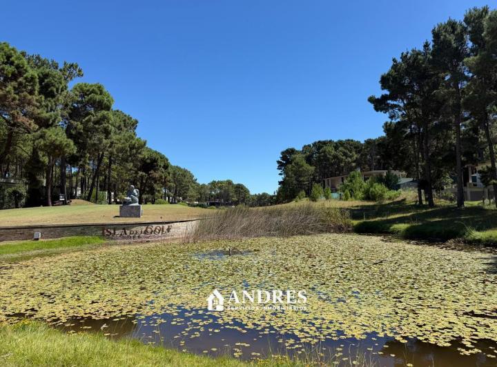 Terreno · 995m²
