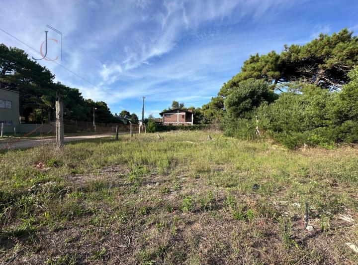 Terreno · 1000m²