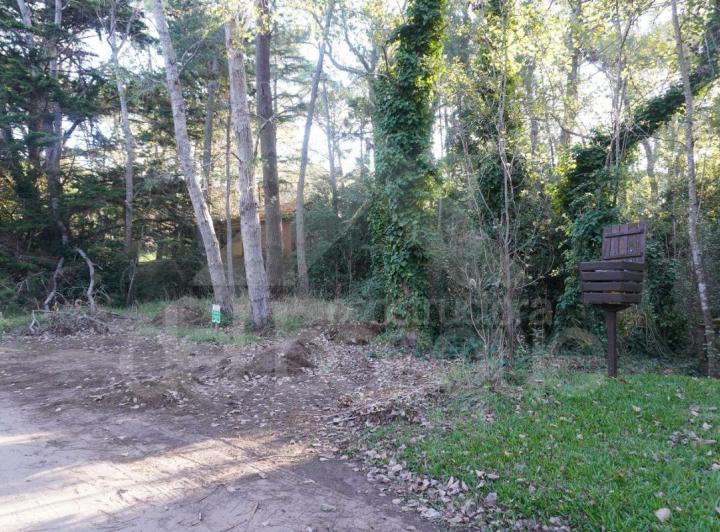 Terreno · 1m²