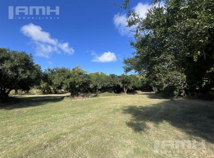 Terreno · 8000m²