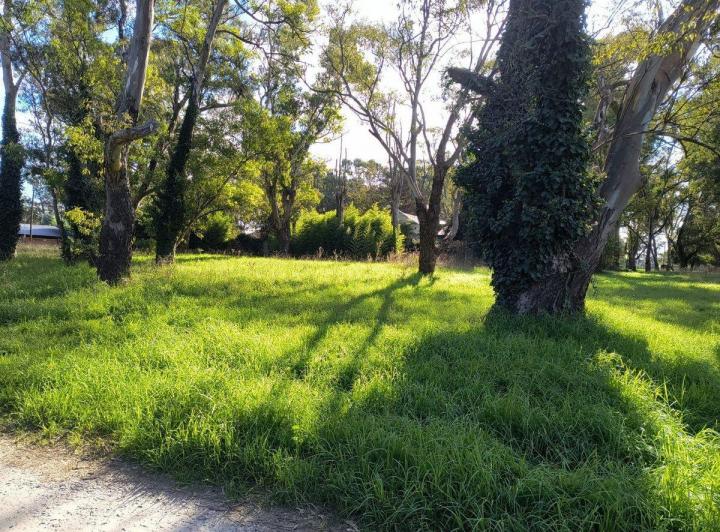 Terreno · 700m²