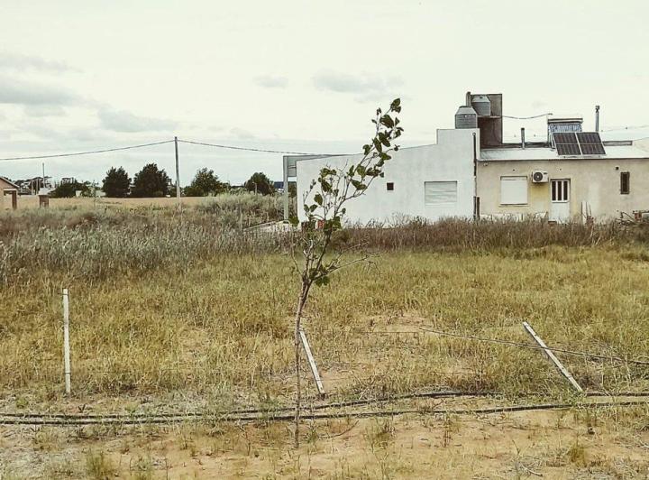 Terreno · 368m²