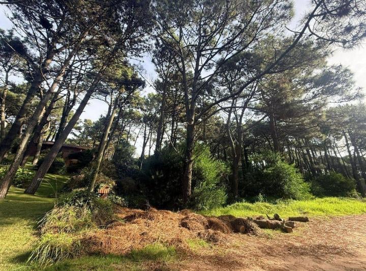 Terreno · 600m²