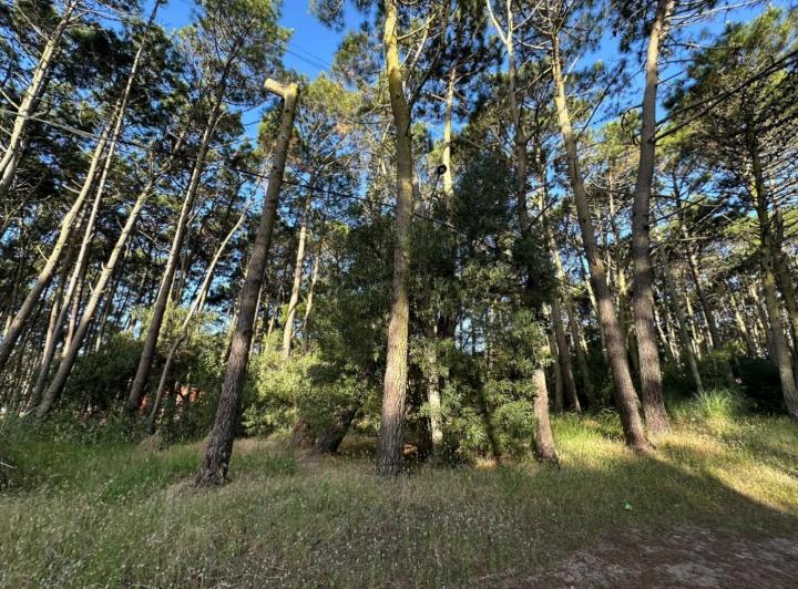 Terreno · 1350m²