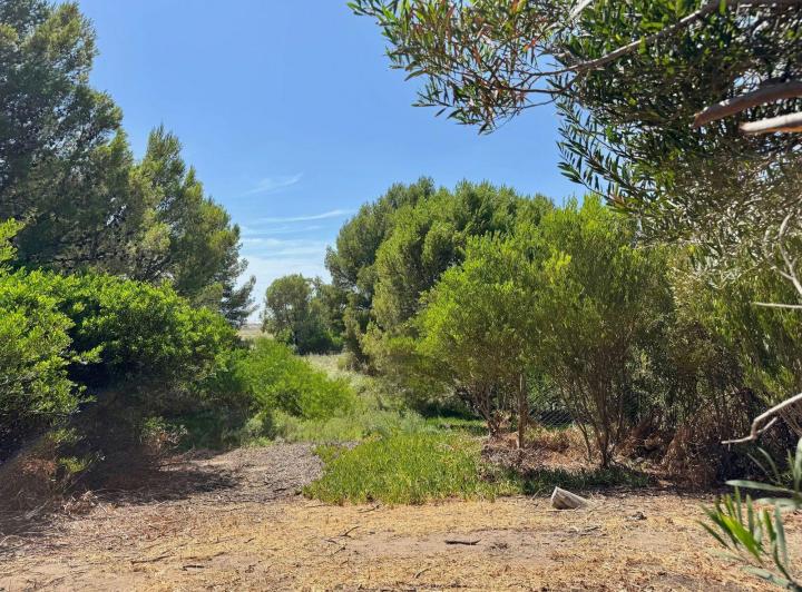 Terreno · 320m²