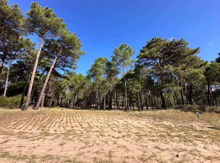 Terreno · 1016m²