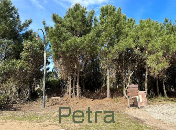 Terreno · 941m²