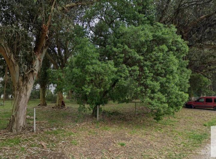 Terreno · 480m²