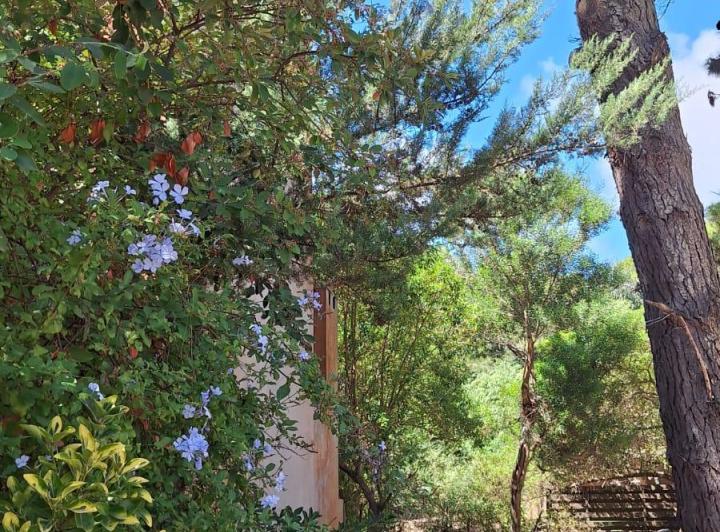 Terreno · 350m²