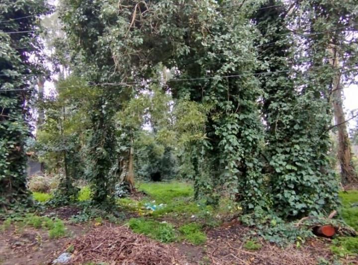 Terreno · 505m²