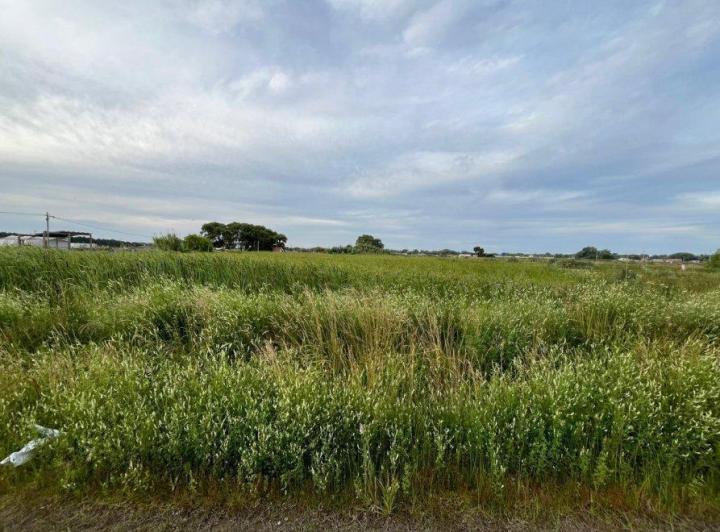 Terreno · 400m²